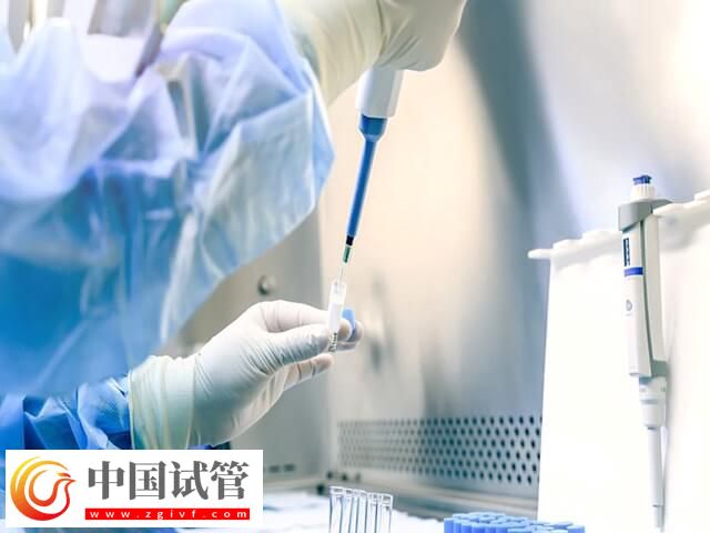 精子质量差做试管成功率多少(图2)