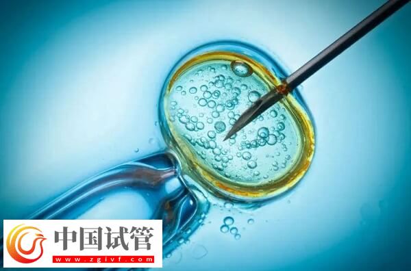 试管婴儿是不是容易引发早产(图2)