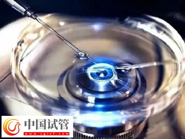 3bc的冻囊胚质量好不好(图2)