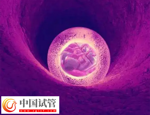 女性卵巢早衰对移植有无影响(图1)