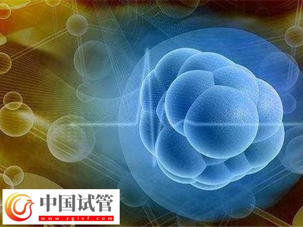 女性卵巢早衰对移植有无影响(图2)