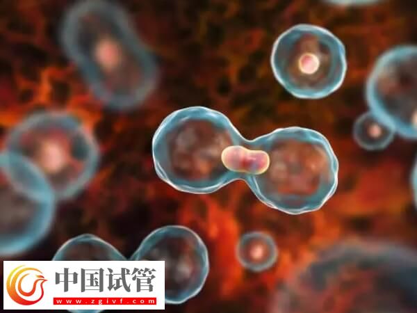 黄体期促排效果怎么样(图3)