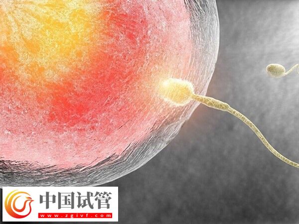 供精人工受孕需要什么手续(图2)