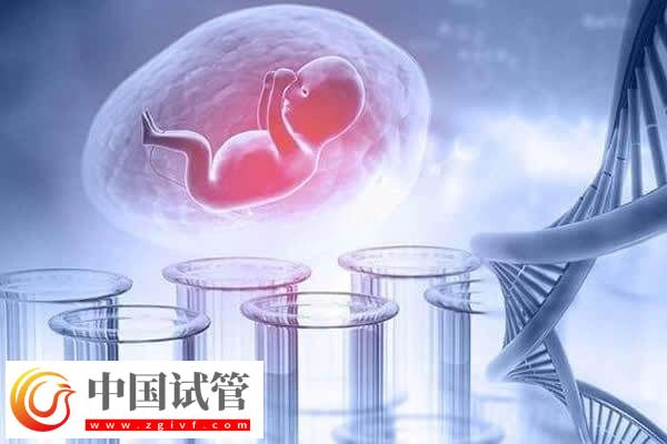 做试管婴儿要建档后才能进入促排卵周期吗？(图1)