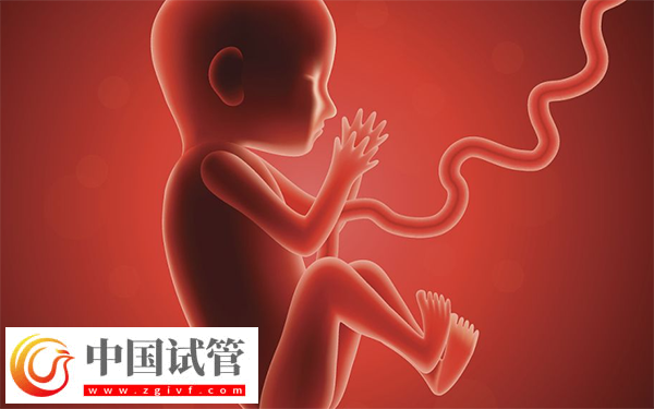 试管胚胎移植做二超能不能转产科(图1)