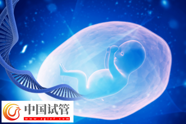 如何解读胚胎筛查结果报告单(图2)