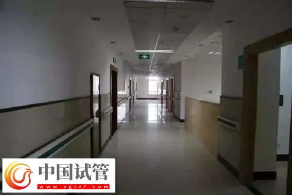 衢州公立试管医院中成功率排名第一的是哪家？