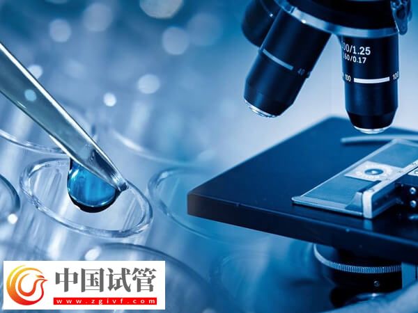 试管可不可以移植两个胚胎？(图2)