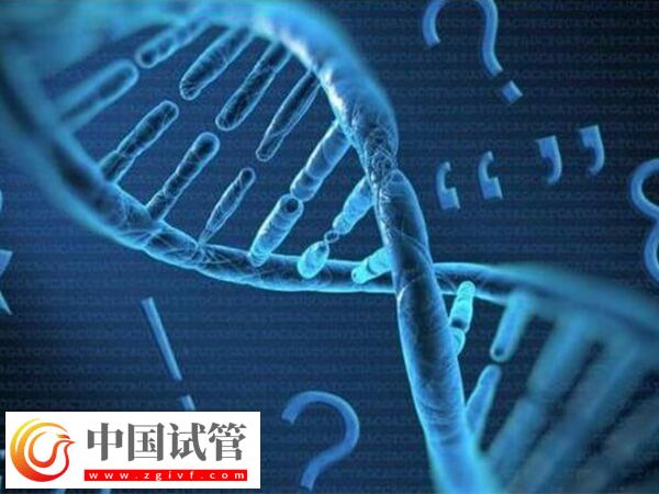 白山有没有能做无创亲子鉴定的医院？