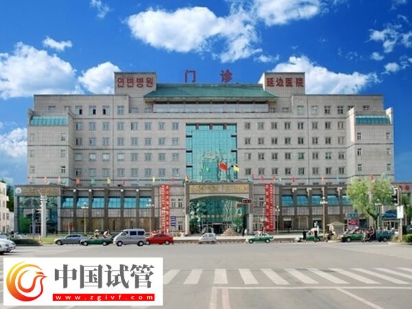 延边医院做一次二代试管婴儿助孕要准备多少钱？