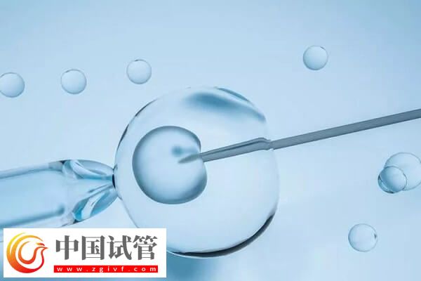 试管移植1个还是2个好(图1)