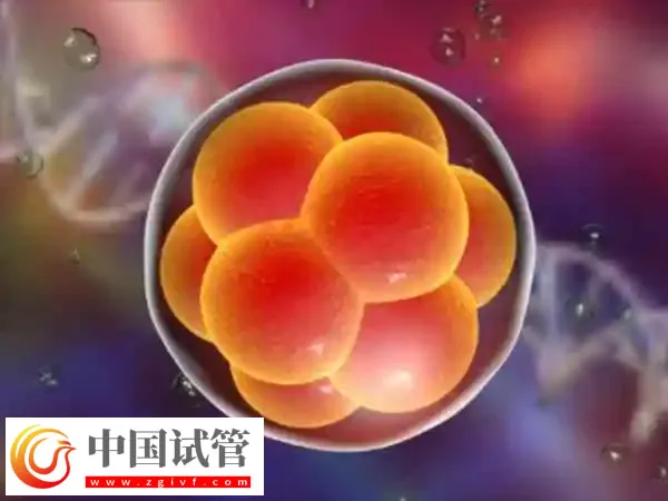 胚胎着床期不吃早餐有没有影响(图1)