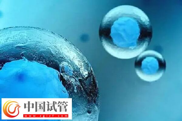 5天囊胚和3天鲜胚有哪些区别(图1) 5天囊胚和3天鲜胚有哪些区别(图1)