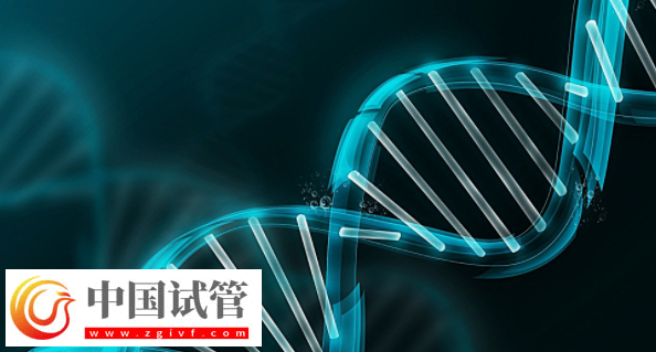 做三代试管婴儿生子要多少钱？三代试管费用高不高(图1)