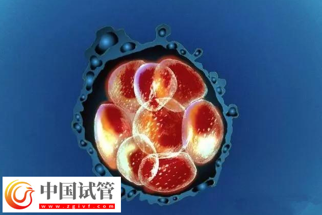 国内哪里可以未婚做三代试管婴儿生子？(图1)