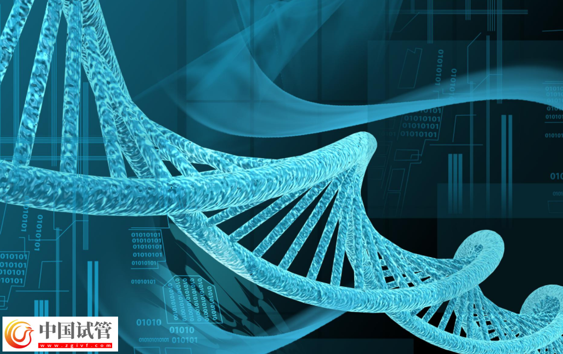 正常夫妻做三代试管婴儿生子多少钱?(图1) 正常夫妻做三代试管婴儿生子多少钱?(图1)