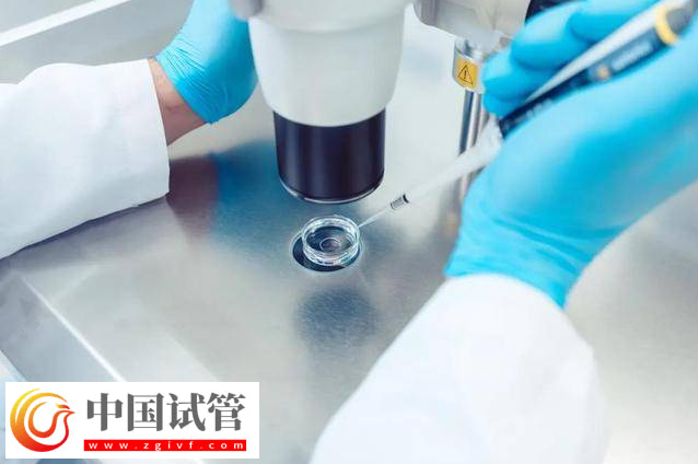 不婚者可以做三代试管婴儿生子吗?(图1) 不婚者可以做三代试管婴儿生子吗?(图1)