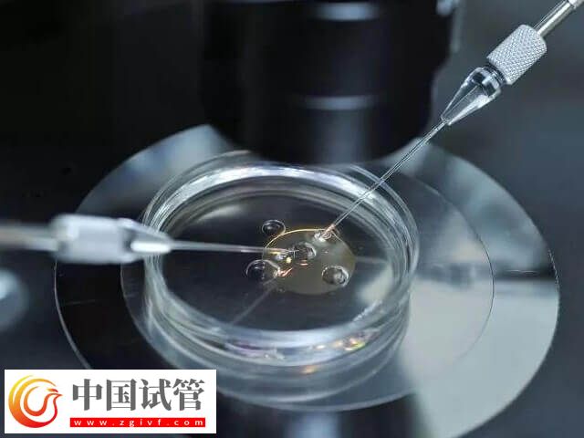 囊胚第9天试纸多深正常(图1) 囊胚第9天试纸多深正常(图1)