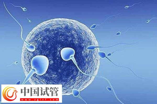 囊胚第9天试纸多深正常(图2) 囊胚第9天试纸多深正常(图2)