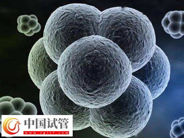 试管移植后有褐色血是不是生化了(图2) 试管移植后有褐色血是不是生化了(图2)