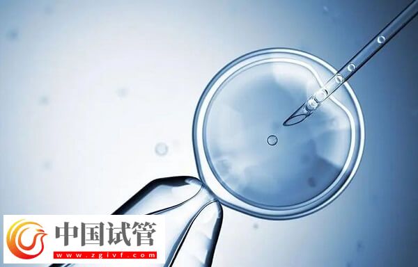 试管婴儿胚胎移植成功率多少(图1) 试管婴儿胚胎移植成功率多少(图1)