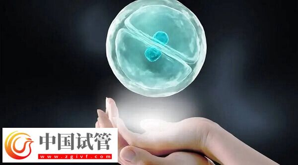 试管婴儿胚胎移植成功率多少(图2) 试管婴儿胚胎移植成功率多少(图2)
