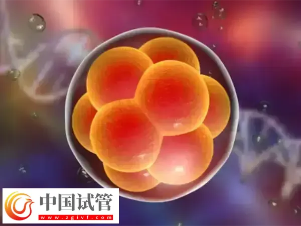 胚胎移植后会不会出现胎停(图1)