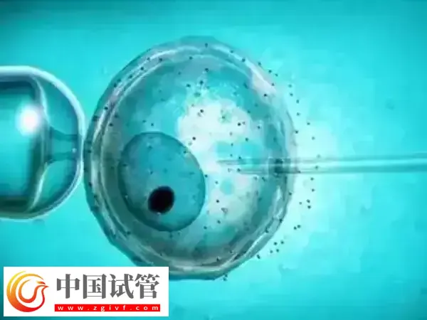 二代试管婴儿费用要多少(图1) 二代试管婴儿费用要多少(图1)