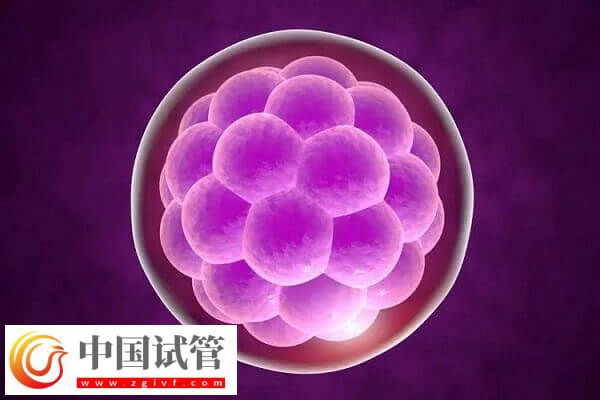 二代试管婴儿费用要多少(图2) 二代试管婴儿费用要多少(图2)