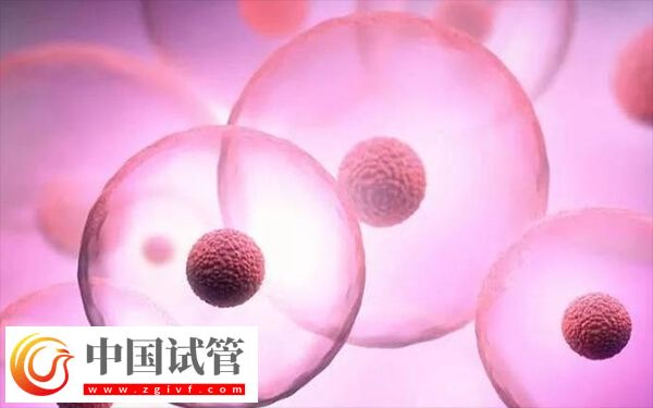 成都做试管婴儿哪家好