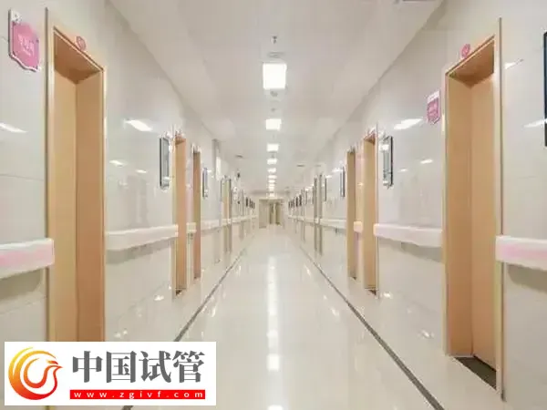 南昌生殖医院试管成功率高不高