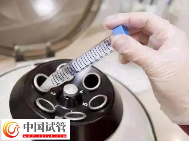 呼和浩特市试管婴儿价格多少