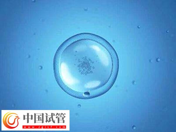 宁波不育不孕医院有哪些
