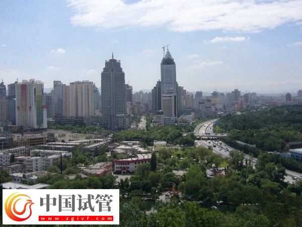 乌鲁木齐试管婴儿医院有哪些