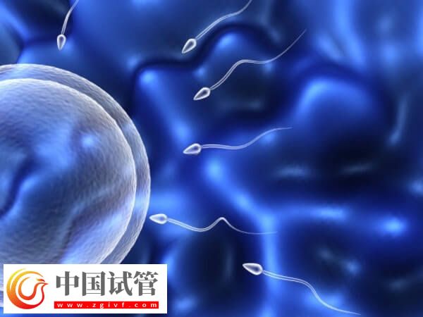 一代试管生男孩的经验是什么(图1) 一代试管生男孩的经验是什么(图1)