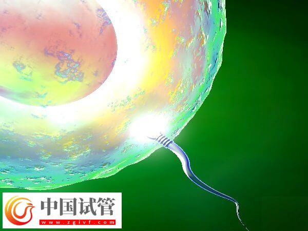 53岁高龄女性做试管婴儿(图1)