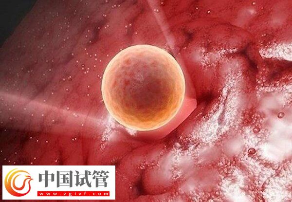 37岁做试管是不是很晚(图1)