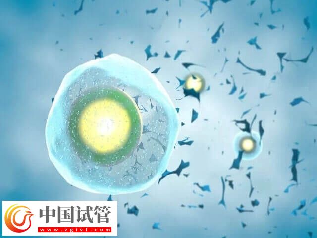 试管不成功可不可以退钱 试管婴儿费用(图1) 试管不成功可不可以退钱 试管婴儿费用(图1)