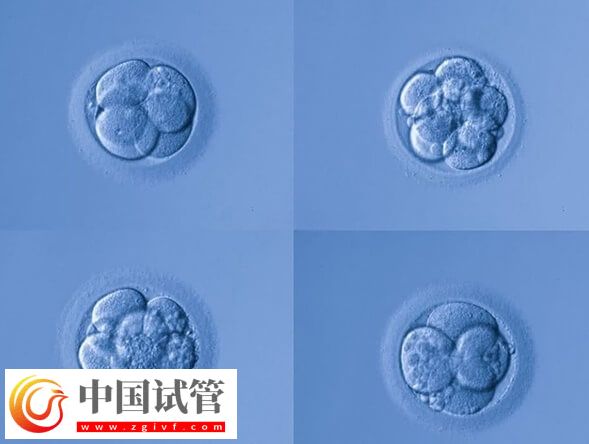 第三代试管婴儿移植6bc囊胚成功率多大(图2)