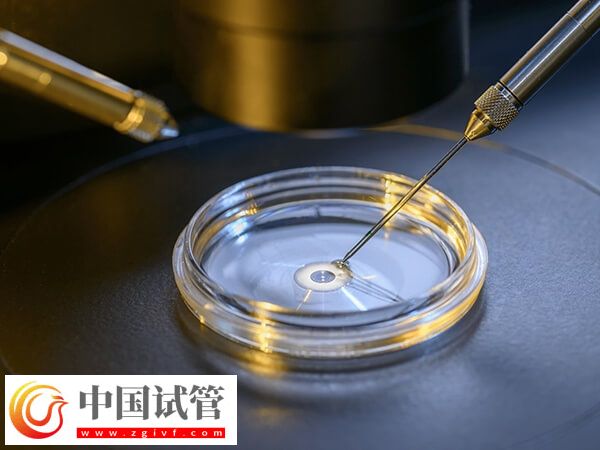 胚胎8细胞三级是不是比5细胞好(图1)