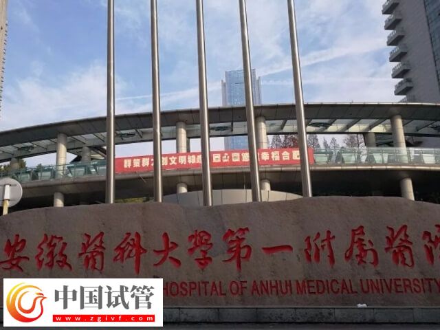 合肥安医大吴欢做试管怎么样