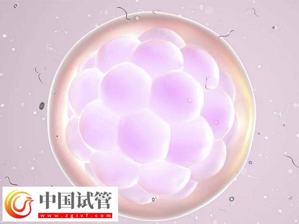 医院会不会自动把胚胎作废(图1)