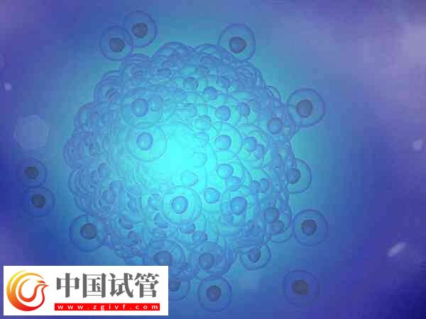 胚胎有基因问题三代试管能否解决(图1) 胚胎有基因问题三代试管能否解决(图1)