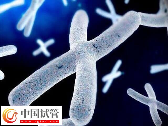 胚胎有基因问题三代试管能否解决(图2) 胚胎有基因问题三代试管能否解决(图2)