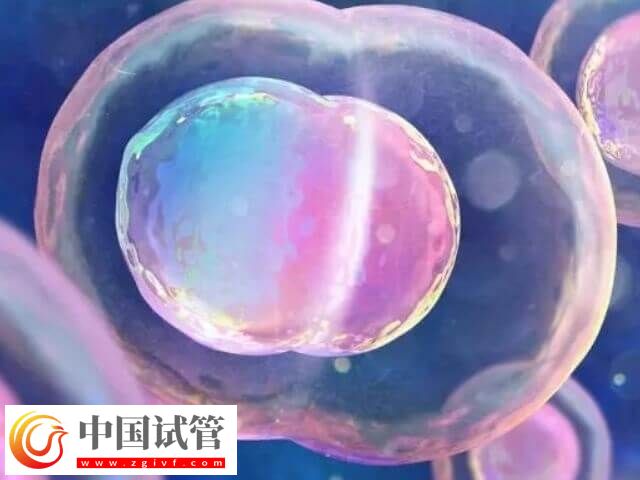 山大生殖高芹跟盛燕试管技术对比
