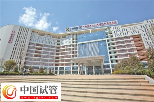 昆华医院试管婴儿哪个医生做的好
