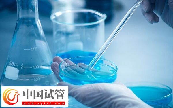 河南做试管哪家医院成功率最高