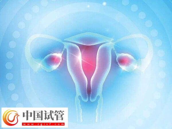 24岁卵巢早衰医生说不用治怎么回事(图2) 24岁卵巢早衰医生说不用治怎么回事(图2)