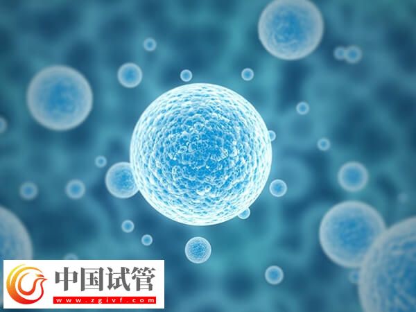 30岁基础卵泡几个正常(图1)