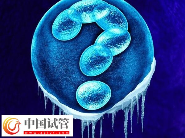 les去哪里做试管(图2) les去哪里做试管(图1)